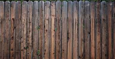 kerítés tisztítása